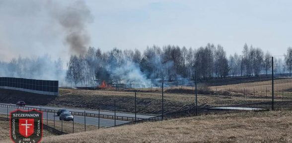 Pożar traw przy autostradzie w Sterkowcu / 15 marca 2022 r.